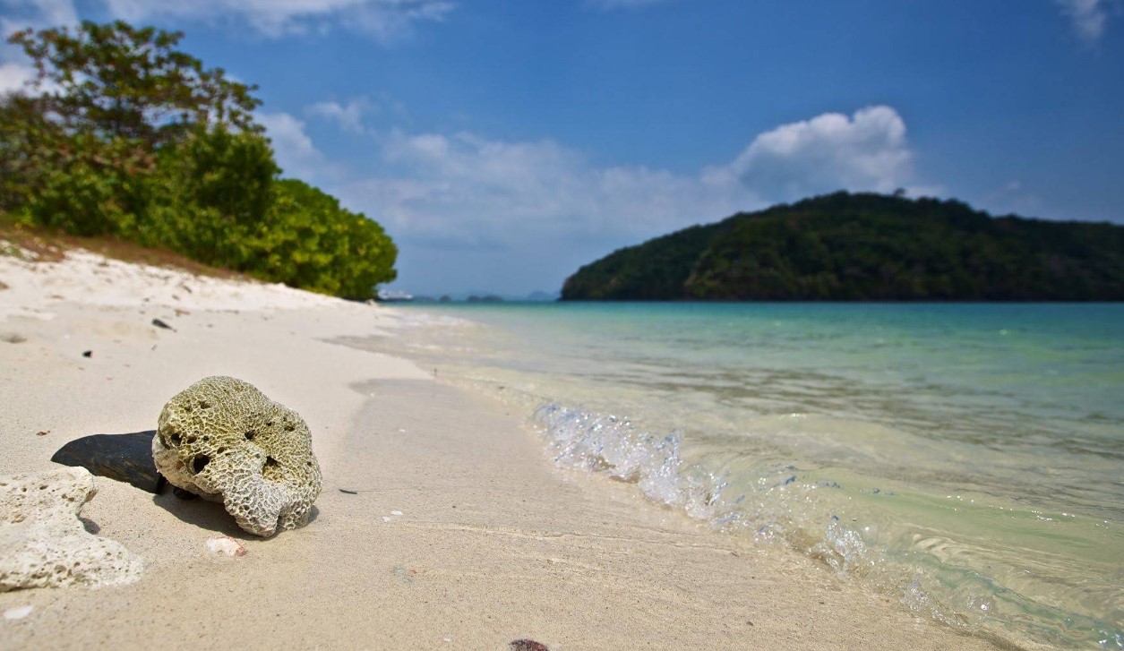 best snorkeling and diving spots in langkawi pulau kentut